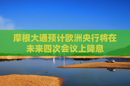 摩根大通预计欧洲央行将在未来四次会议上降息  第1张
