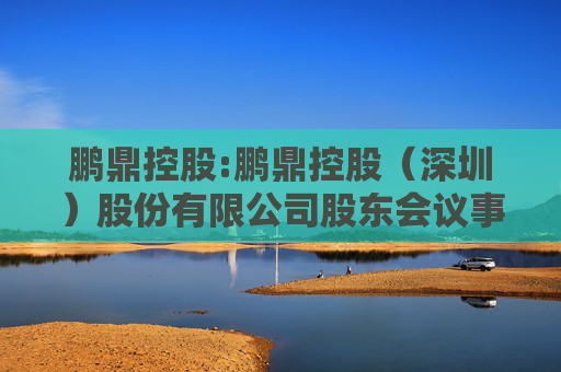 鹏鼎控股:鹏鼎控股（深圳）股份有限公司股东会议事规则（2025年4月）
