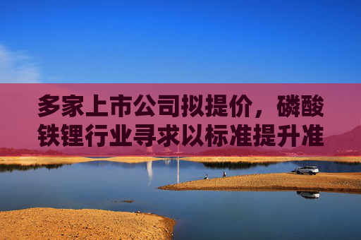 多家上市公司拟提价，磷酸铁锂行业寻求以标准提升准入门槛