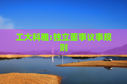 工大科雅:独立董事议事规则