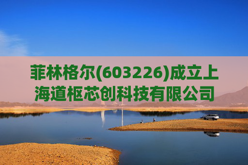 菲林格尔(603226)成立上海道枢芯创科技有限公司