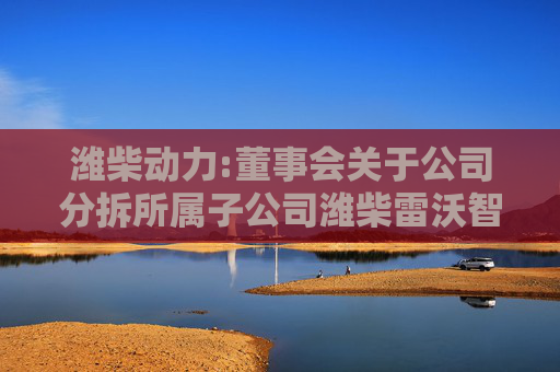 潍柴动力:董事会关于公司分拆所属子公司潍柴雷沃智慧农业科技股份有限公司至香港联合交易所有限公司主板上市履行法定程序的完备性、合规性及提交法律文件有效性的说明