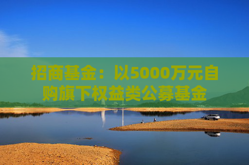招商基金：以5000万元自购旗下权益类公募基金
