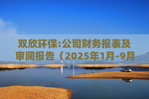双欣环保:公司财务报表及审阅报告（2025年1月-9月）