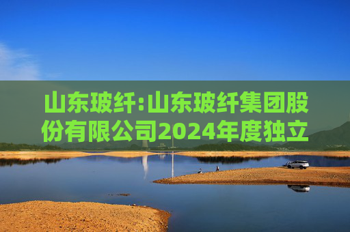 山东玻纤:山东玻纤集团股份有限公司2024年度独立董事述职报告（王贺）  第1张