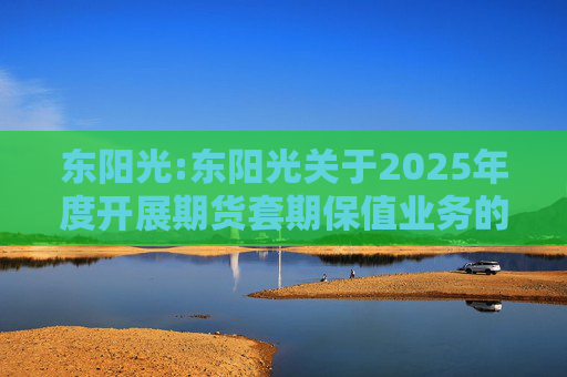 东阳光:东阳光关于2025年度开展期货套期保值业务的公告  第1张