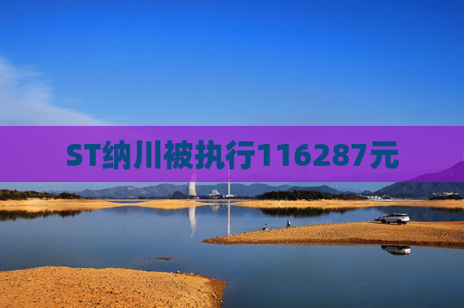 ST纳川被执行116287元