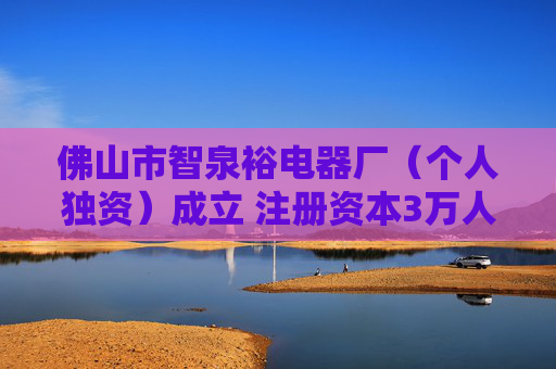 佛山市智泉裕电器厂（个人独资）成立 注册资本3万人民币