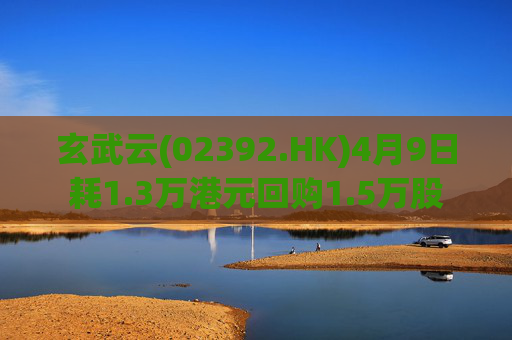 玄武云(02392.HK)4月9日耗1.3万港元回购1.5万股