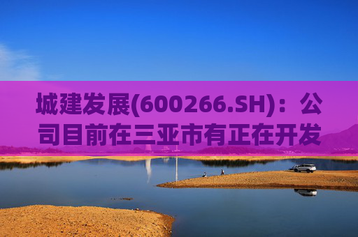 城建发展(600266.SH)：公司目前在三亚市有正在开发的房地产项目 同时运营一家度假酒店