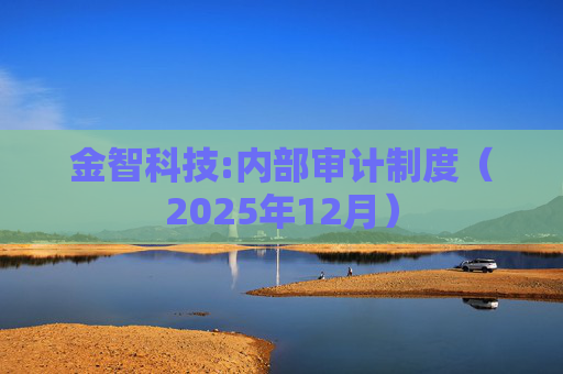 金智科技:内部审计制度（2025年12月）  第1张