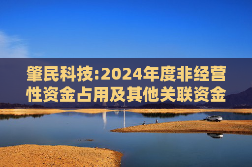 肇民科技:2024年度非经营性资金占用及其他关联资金往来情况汇总表