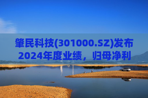 肇民科技(301000.SZ)发布2024年度业绩，归母净利润1.42亿元，增长37.25%  第1张