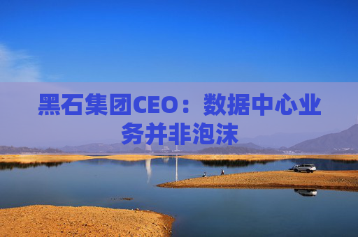 黑石集团CEO：数据中心业务并非泡沫