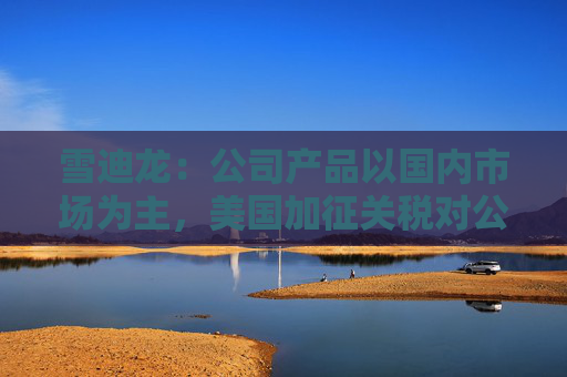 雪迪龙：公司产品以国内市场为主，美国加征关税对公司业务影响相对有限  第1张