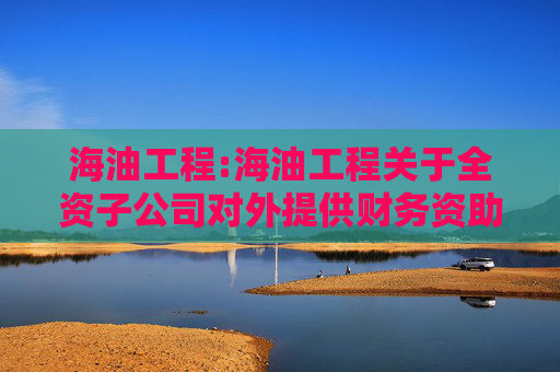 海油工程:海油工程关于全资子公司对外提供财务资助展期的公告