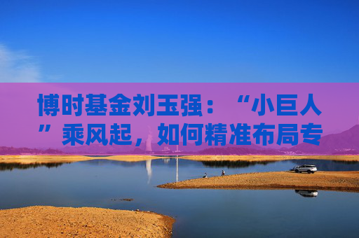 博时基金刘玉强：“小巨人”乘风起，如何精准布局专精特新？