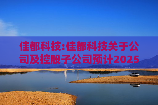 佳都科技:佳都科技关于公司及控股子公司预计2025年度申请综合授信额度及提供担保的公告