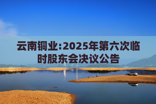 云南铜业:2025年第六次临时股东会决议公告