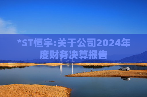 *ST恒宇:关于公司2024年度财务决算报告