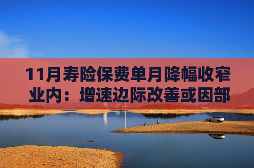 11月寿险保费单月降幅收窄 业内：增速边际改善或因部分险企冲刺开门红业务目标