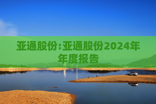 亚通股份:亚通股份2024年年度报告