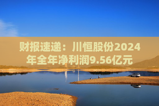 财报速递：川恒股份2024年全年净利润9.56亿元