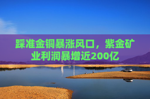 踩准金铜暴涨风口，紫金矿业利润暴增近200亿  第1张
