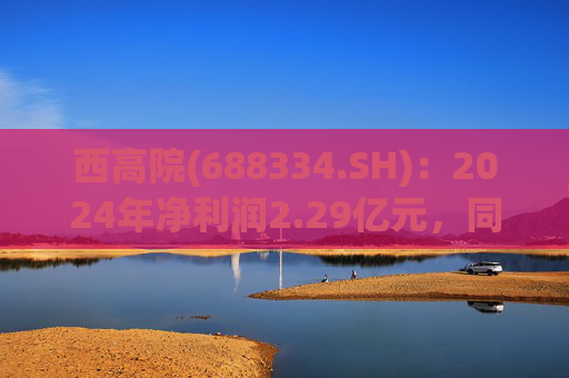 西高院(688334.SH)：2024年净利润2.29亿元，同比增长20.78%