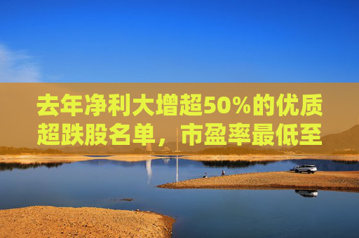 去年净利大增超50%的优质超跌股名单，市盈率最低至个位数  第1张