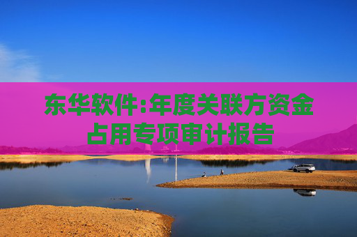 东华软件:年度关联方资金占用专项审计报告  第1张