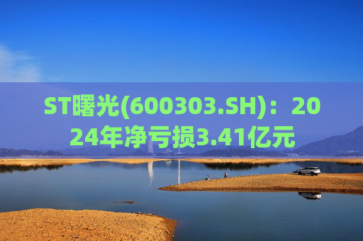 ST曙光(600303.SH)：2024年净亏损3.41亿元