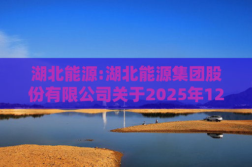 湖北能源:湖北能源集团股份有限公司关于2025年12月发电情况的自愿性信息披露公告