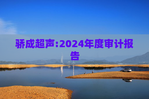 骄成超声:2024年度审计报告
