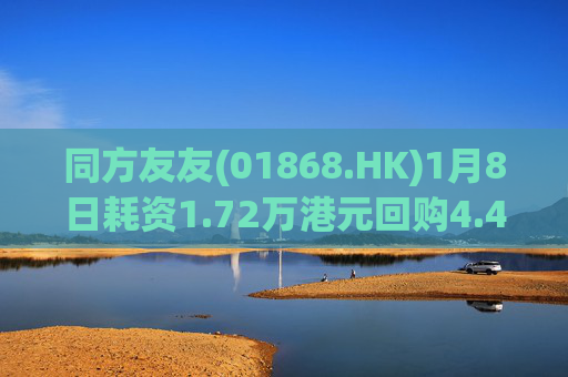 同方友友(01868.HK)1月8日耗资1.72万港元回购4.4万股