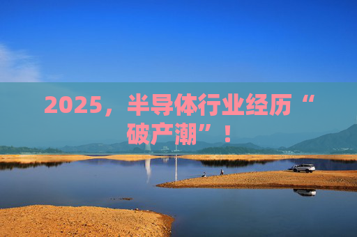 2025，半导体行业经历“破产潮”！