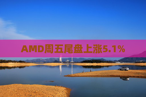 AMD周五尾盘上涨5.1%