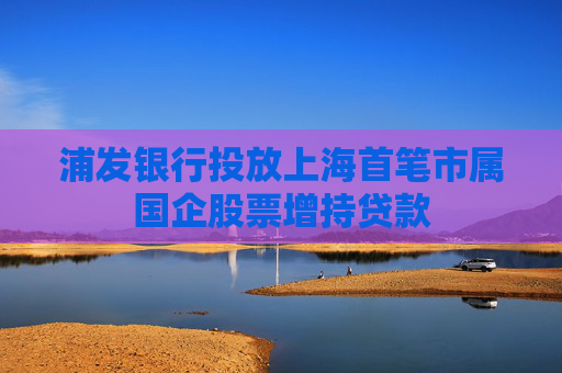 浦发银行投放上海首笔市属国企股票增持贷款  第1张