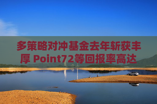 多策略对冲基金去年斩获丰厚 Point72等回报率高达两位数