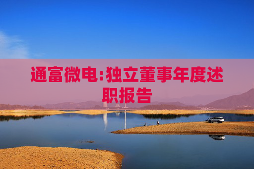 通富微电:独立董事年度述职报告