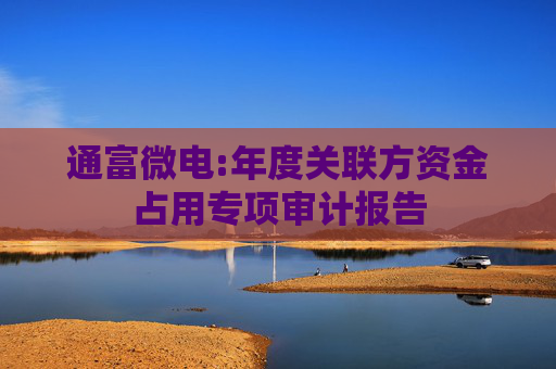 通富微电:年度关联方资金占用专项审计报告  第1张
