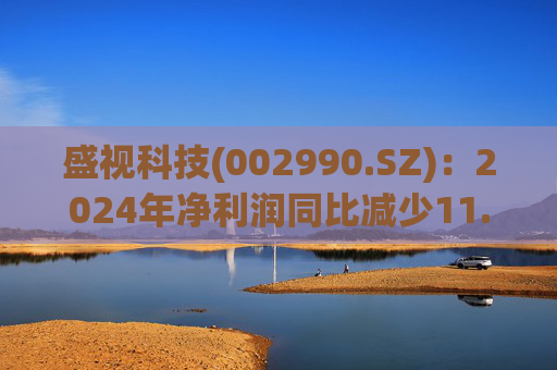 盛视科技(002990.SZ)：2024年净利润同比减少11.77% 拟10股派2.1元  第1张