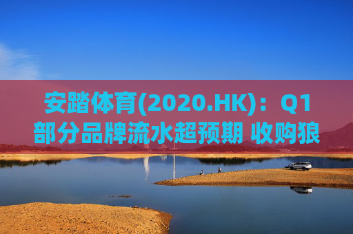 安踏体育(2020.HK)：Q1部分品牌流水超预期 收购狼爪多品牌行稳致远  第1张