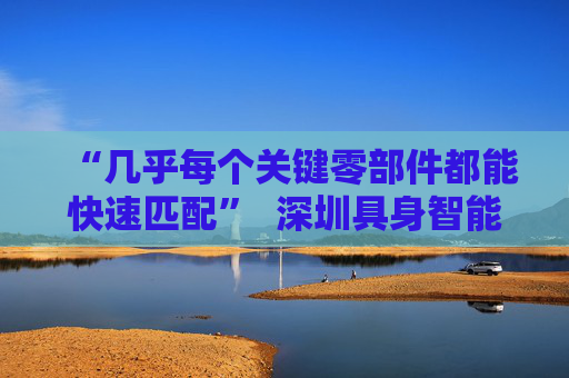 “几乎每个关键零部件都能快速匹配”  深圳具身智能生态先行一步