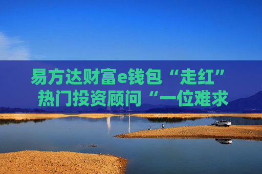 易方达财富e钱包“走红”  热门投资顾问“一位难求”