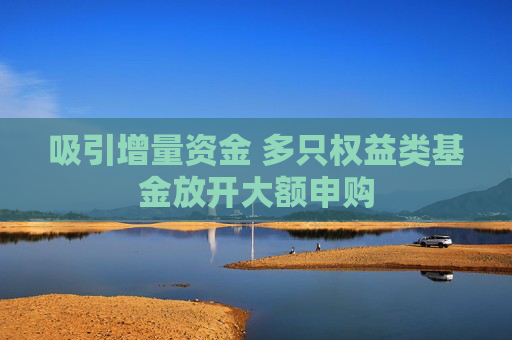 吸引增量资金 多只权益类基金放开大额申购  第1张