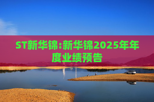 ST新华锦:新华锦2025年年度业绩预告  第1张