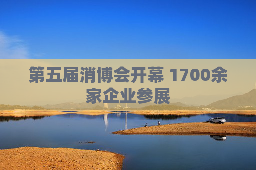 第五届消博会开幕 1700余家企业参展  第1张