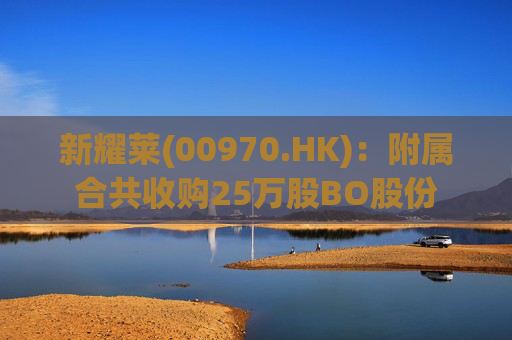 新耀莱(00970.HK)：附属合共收购25万股BO股份