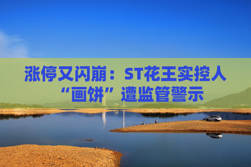 涨停又闪崩：ST花王实控人“画饼”遭监管警示  第1张